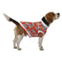 Pawsindia Blossom T-Shirt For Dog, Orange