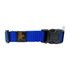 GEARBUFF Classic Collar for Dogs , Blue