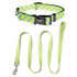 Pawsindia Citrus Durable Colorful Collar and Leash Set for Dog