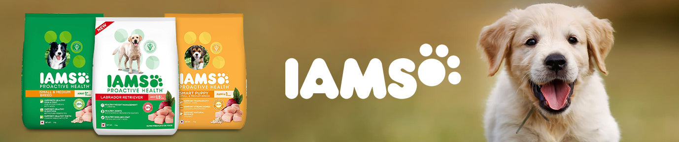 IAMS