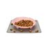 Pawsindia Anti-Slip and Anti-Spill Twisty Dog Feeder
