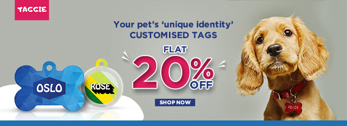 Buy pet hot sale products online