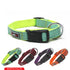 GEARBUFF Sports Collar for Dogs, Teal & Kiwi