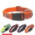 GEARBUFF Sports Collar for Dogs, Orange & Limestone