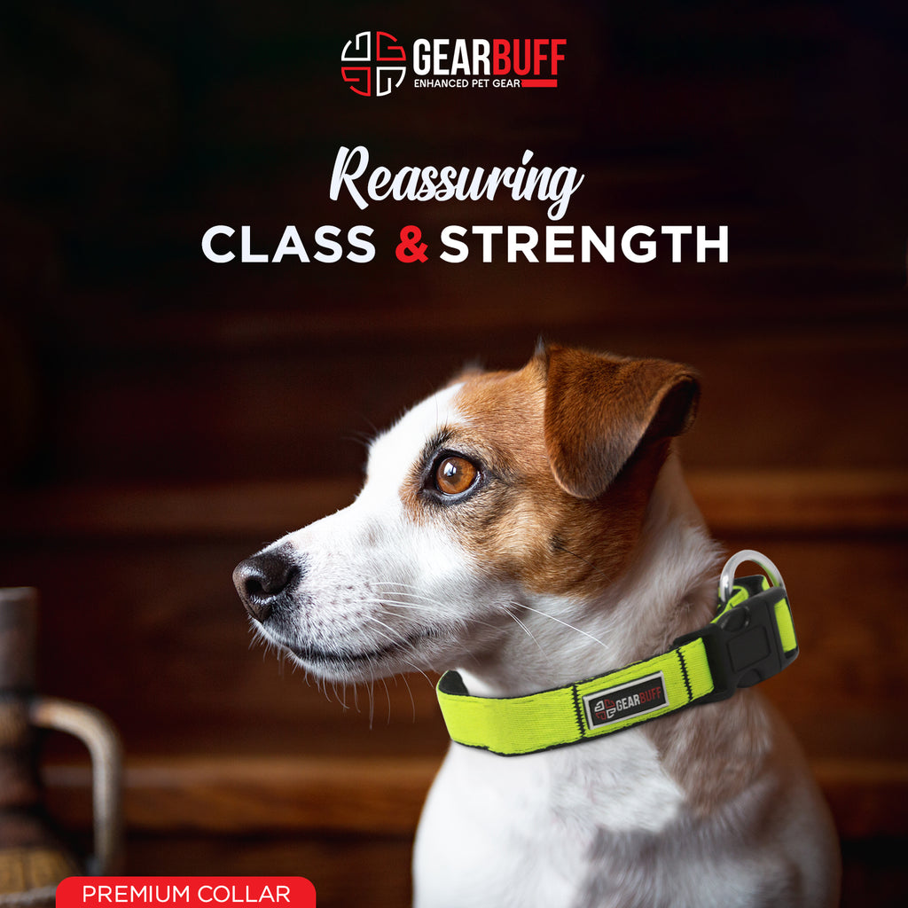 GEARBUFF Pet Walk Premium Collar for Dogs, Kiwi & Black