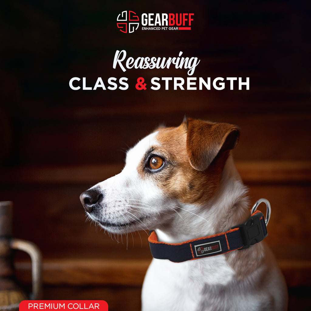 GEARBUFF Pet Walk Premium Collar for Dogs, Navy & Orange