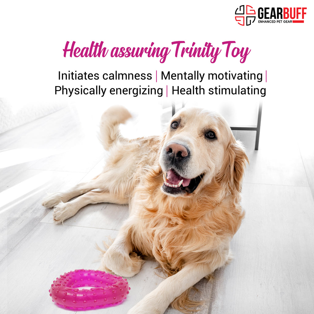 Gearbuff Trinity clear dental dog chew toy,Small, Purple