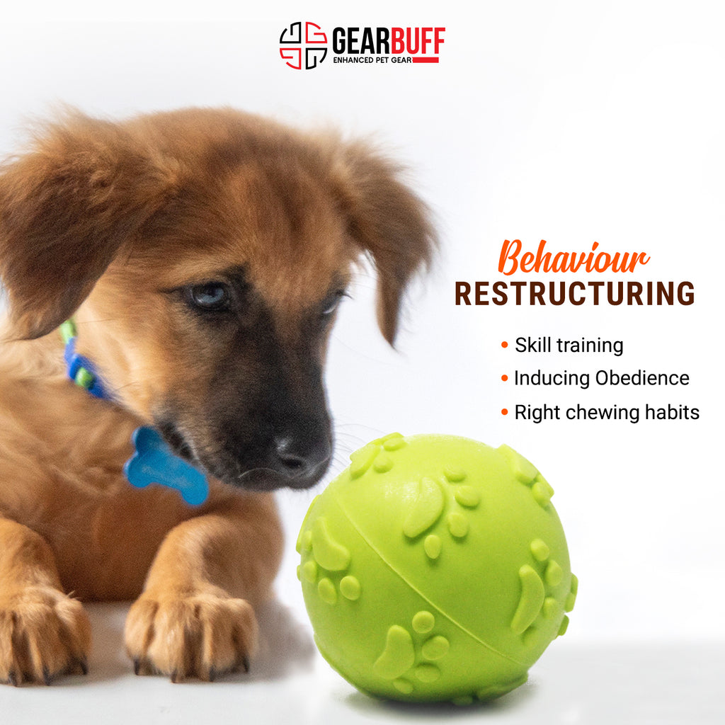 Gearbuff GO Fetch! Squeaky Rubber Ball Toy, Small