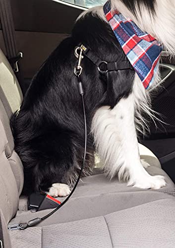 Dog Seat Belt  Dog Seat Belt Restraint
