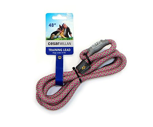 Cesar dog discount leash