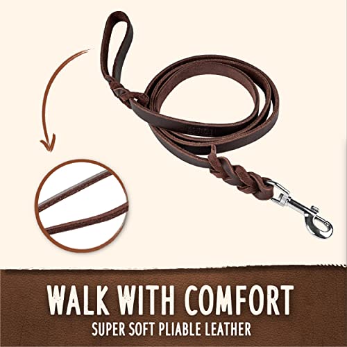 Leather Dog Leash 6 ft Leather Dog Training Leash Pet Braided Dog Leas –  PETOLY