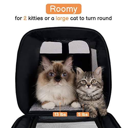 Lyla Pet Trolley Case Travel Bag Cat Rolling Carrier Folded for Dogs Cats  Outdoor Multicolor Pet Crate Price in India  Buy Lyla Pet Trolley Case  Travel Bag Cat Rolling Carrier Folded