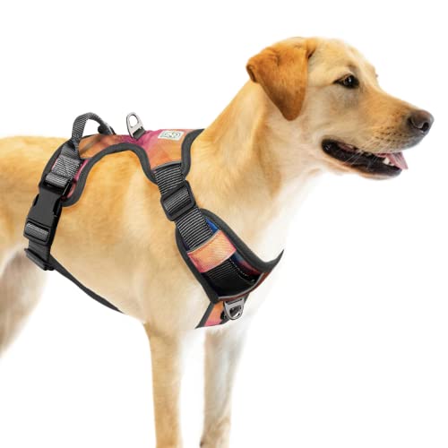 Embark sales dog harness