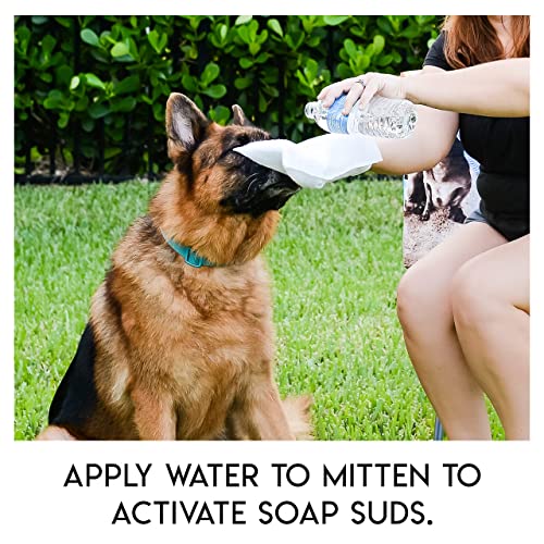 No Rinse Pet Wipes Use for Pet Bathing Pet Grooming and Pet