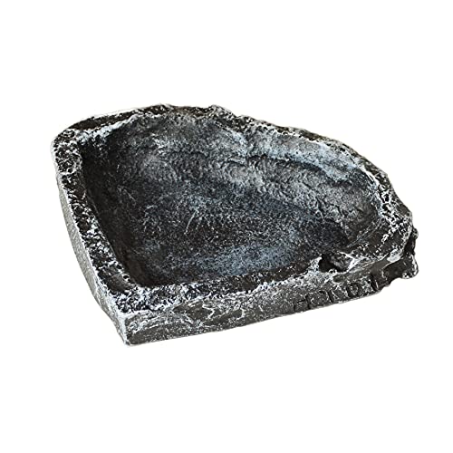 Reptile corner shop water dish