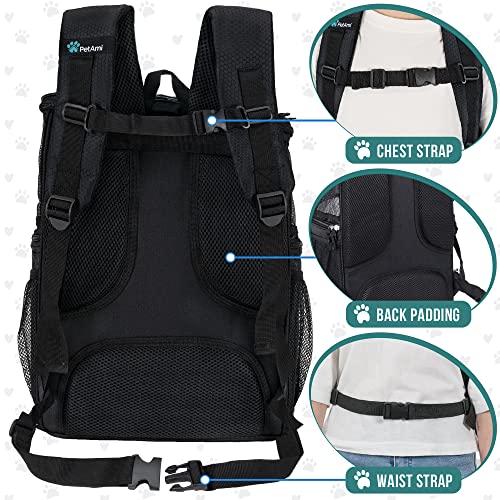 Petami pet carrier backpack hotsell