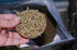 Small Pet Select Guinea Pig Food Pellets, 10-Pound