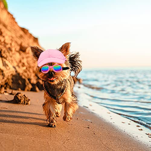 Dog visor deals and sunglasses