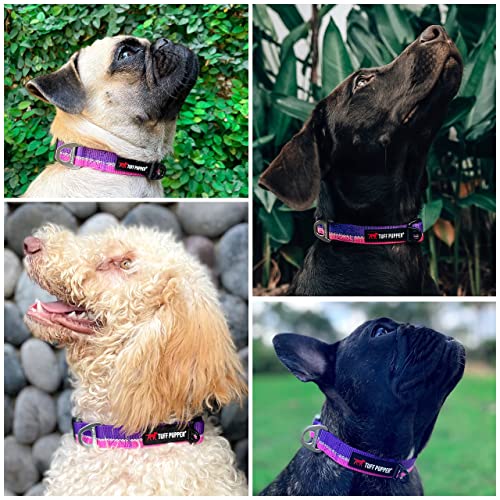 Tuff Pupper Heavy Duty Dog Collar | Tough Dog Collar | Reflective Dog  Collar with Aluminum D-Ring Leash Clip | Separate Dog ID Tag Attachment  Keeps