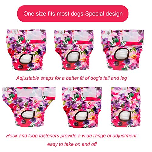 Cutebone sales dog diapers