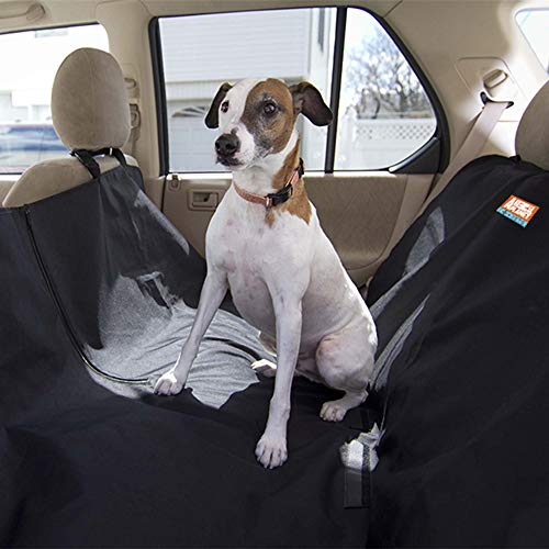 Animal planet sales booster seat