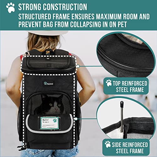 Petami pet carrier backpack sale