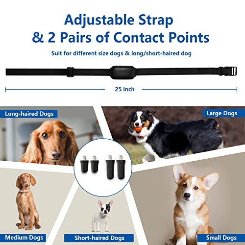 Shock collar for discount long haired dogs