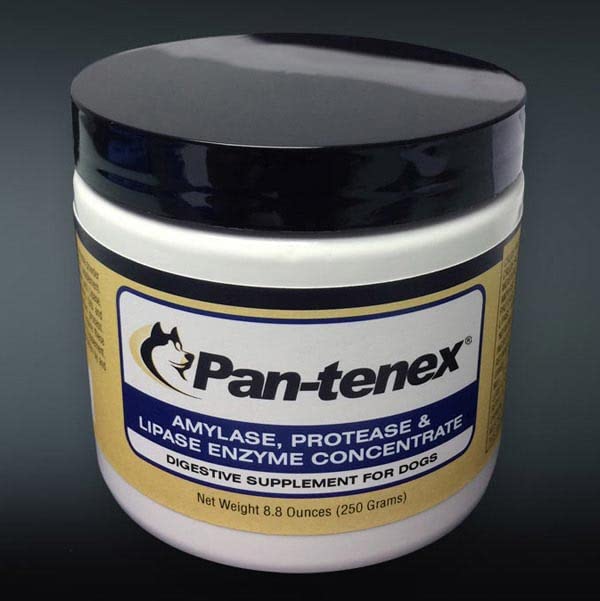 Pan-tenex | 10x Digestive Enzymes Dogs - 8.8 Ounces (250 Grams)