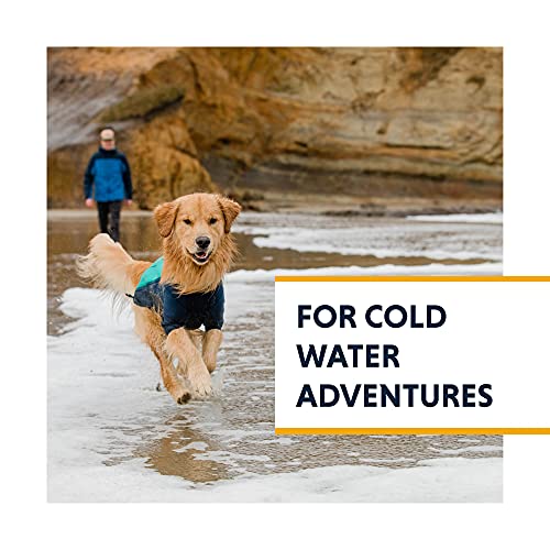 Dog discount swimming gear