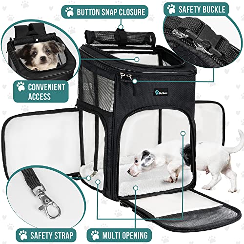 Petami clearance pet carrier