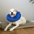 KONG Cloud E-Collar, Dog Collar, Large