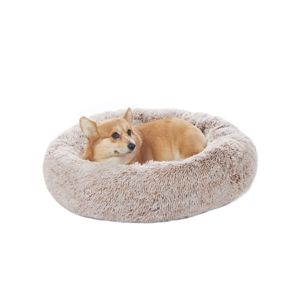 Fluffy shop dog bed