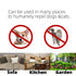 BYTEBAY Furniture Protector & Cat Repellent Outdoor/Indoor Scat Mat for Cats, Dogs, Pests, 16 x 13 Inches, 8 Pack