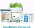 Back to the Roots Water Garden Mini Aquaponics Beta Fish Tank (Packaging May Vary)