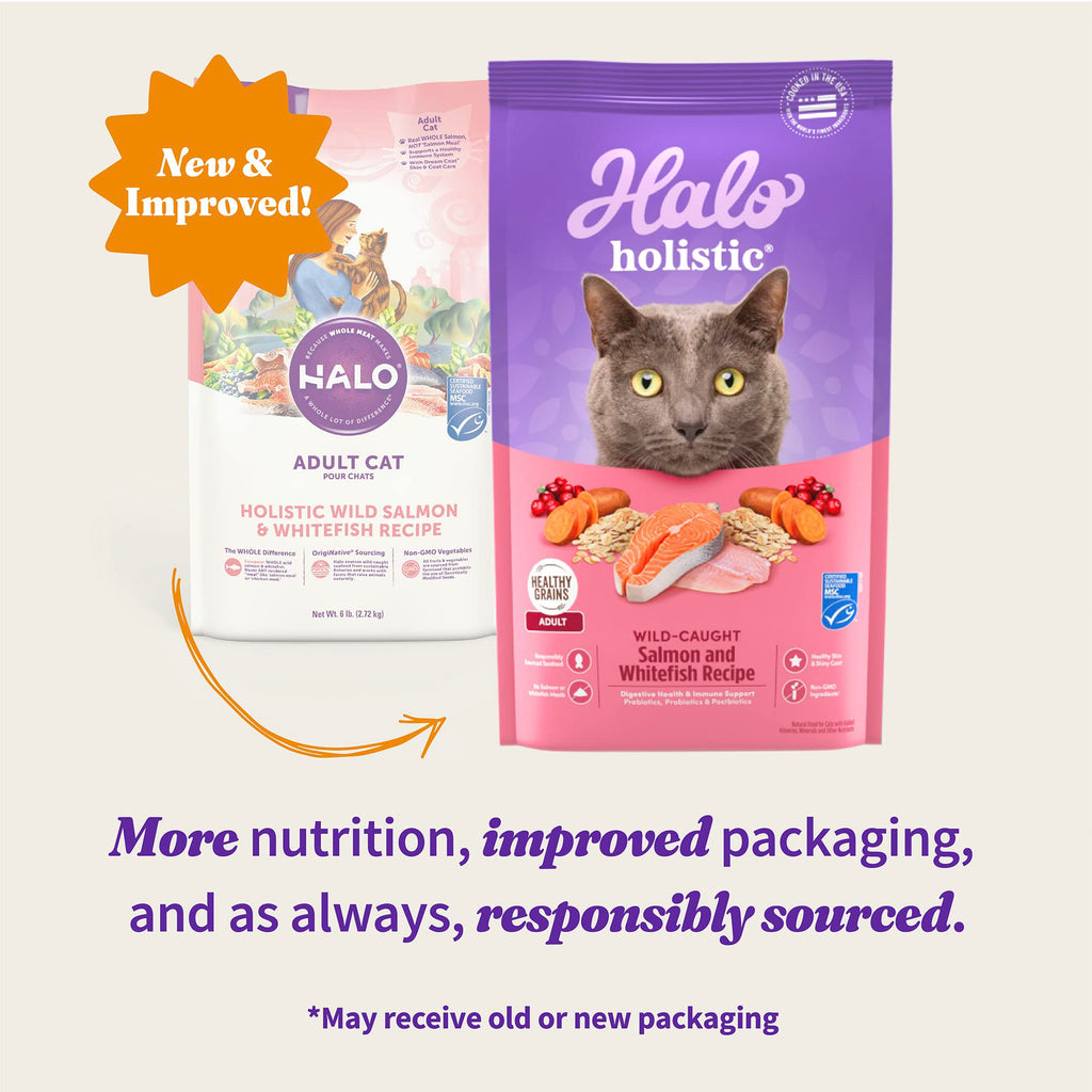Halo Spot's Stew Natural Dry Cat Food Indoor Cat Wild Salmon Recipe 3-Pound Bag