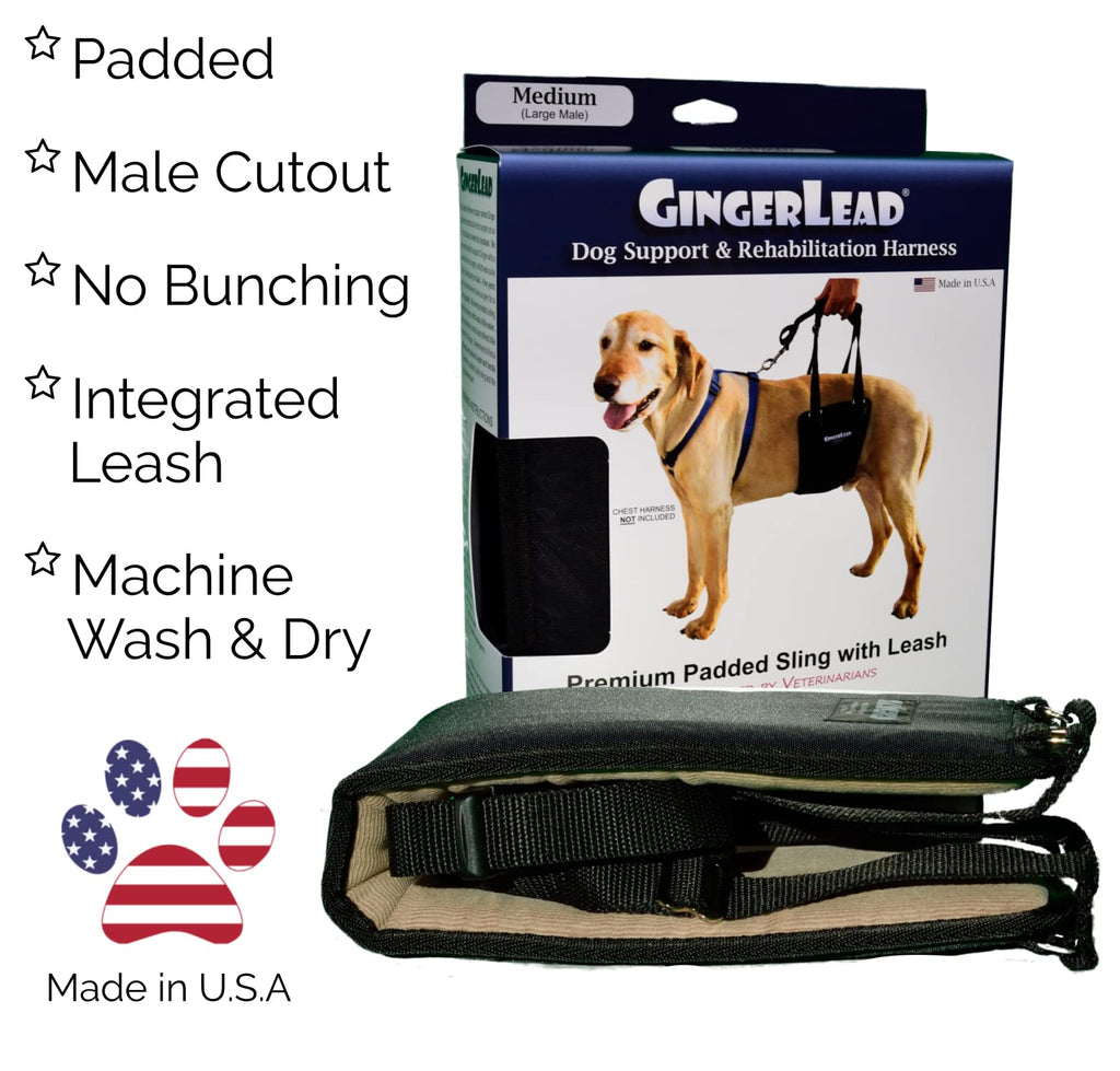 GingerLead Dog Support and Rehabilitation Harness (Medium/Large Male S