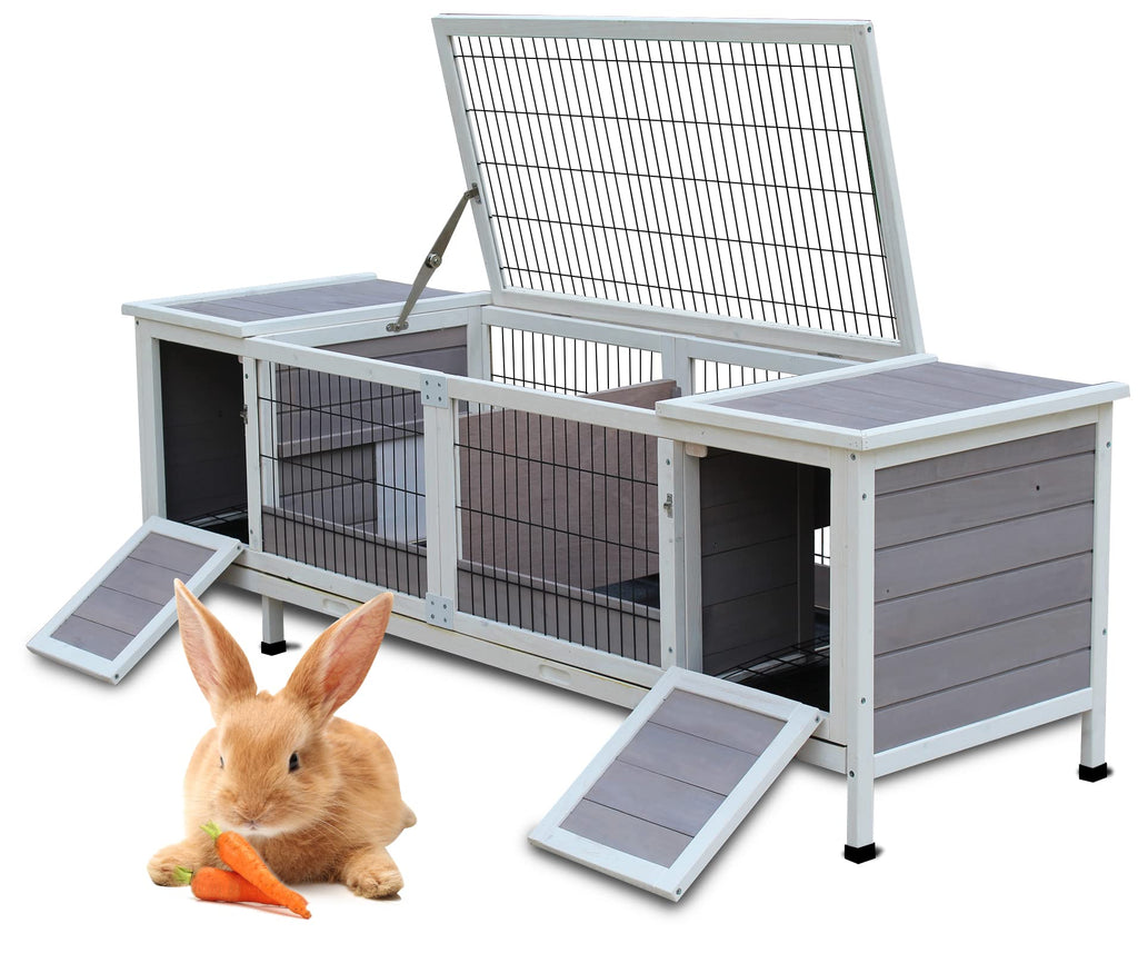 Bunny cages at online petco