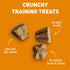 Cloud Star Corporation Tricky Trainer - Crunchy Cheddar 8 Oz