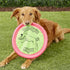 Booda Tail-Spin Flyer, 12-Inch