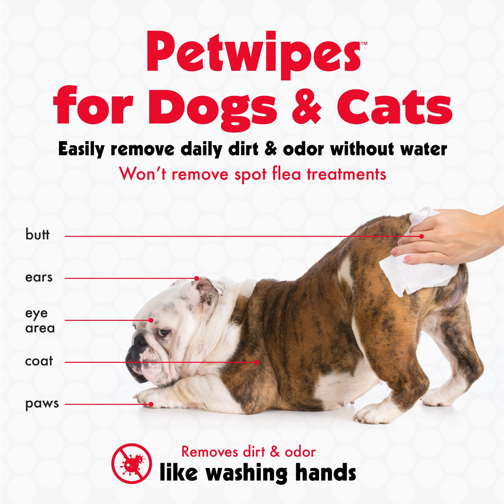 Petkin Pet Wipes for Dogs and Cats, 200 Large Wipes - Removes Dirt & Odor Like Washing Hands - Cleans Ears, Face, Butt, Eye Area - Convenient, Ideal for Home or Travel - 2 Packs of 100 Wipes