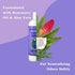 Earthbath All Natural Mediterranean Magic Rosemary Scented Deoderizing Shampoo, 16-Ounce