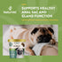NaturVet - No Scoot for Dogs - 60 Soft Chews - Plus Pumpkin - Supports Healthy Anal Gland & Bowel Function - Enhanced with Beet Pulp, Flaxseed & Psyllium Husk