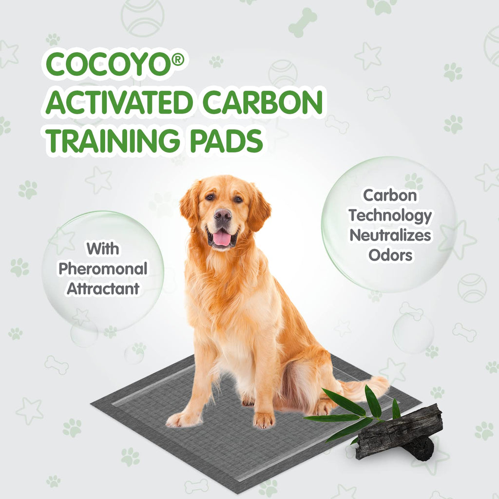 COCOYO Dog Training Pads ? Carbon Absorb Eliminating Urine Odor Doggie Training Pads ? Premium Charcoal Dog Pee Pads (100 Count, 22x22 inch)