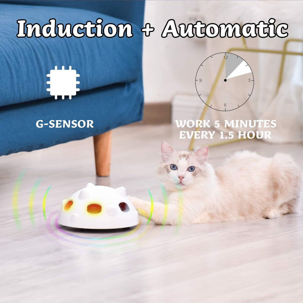 BENTOPAL Pop and Play Interactive Cat Toys for Indoor Cats, Automatic –  PETOLY