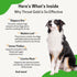 Pet Wellbeing - Throat Gold for Dogs - Natural Herbal Throat and Respiratory Support in Dogs - 2 oz (59ml)