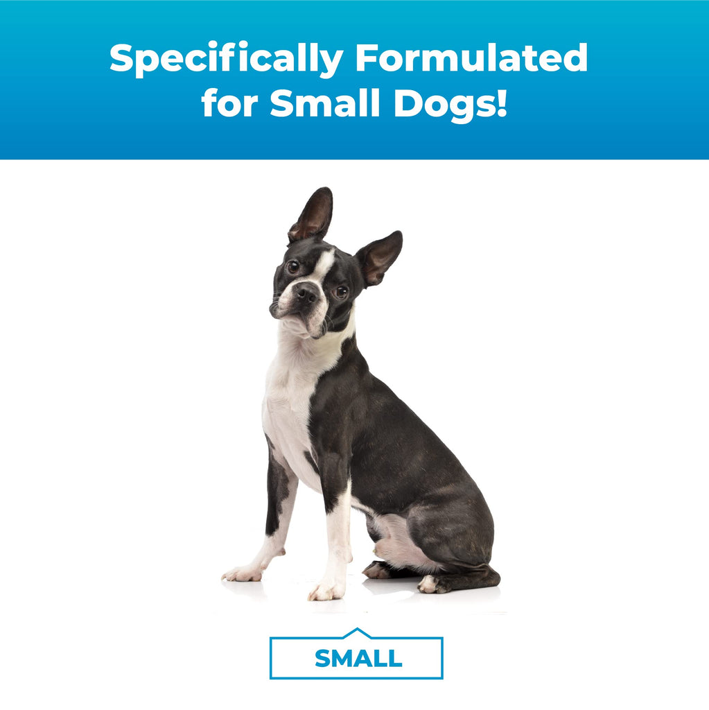 Composure for small best sale dogs