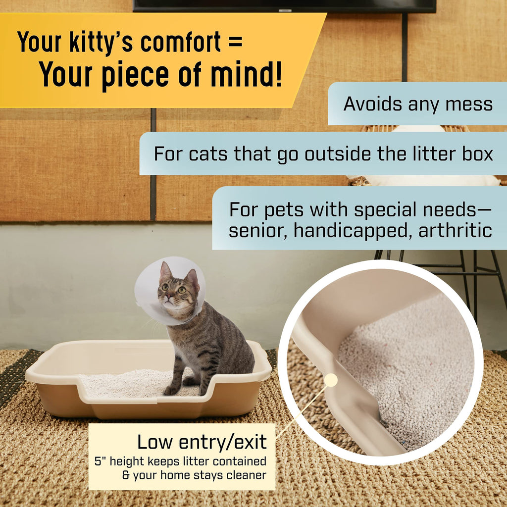 KITTYGOHERE Senior Cat Litter Box, Sand, Small 