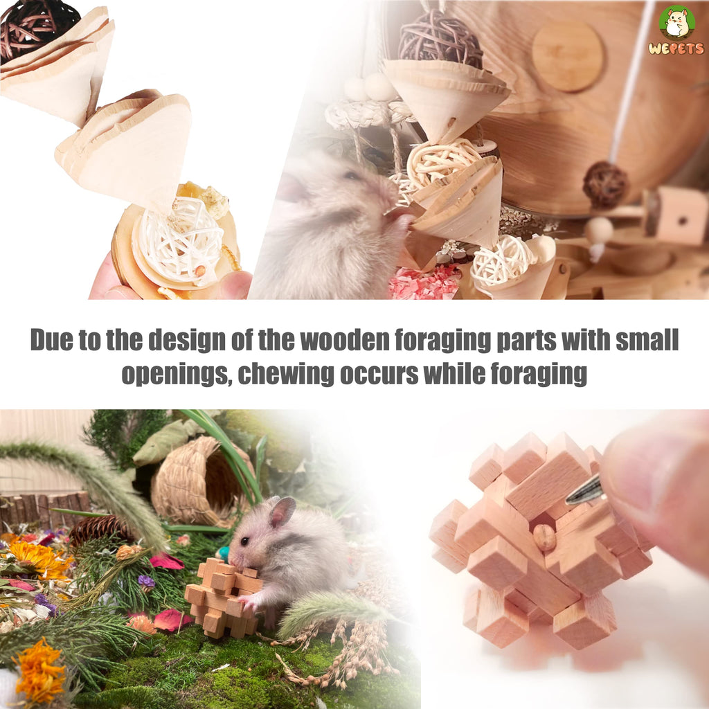 Wepets Hamster Toys  for Hamster  Gerbils  Mice  Rats and Other Small Animals to Chew and Play with  Induce Them to Grind Their Teeth  Reduce Depre