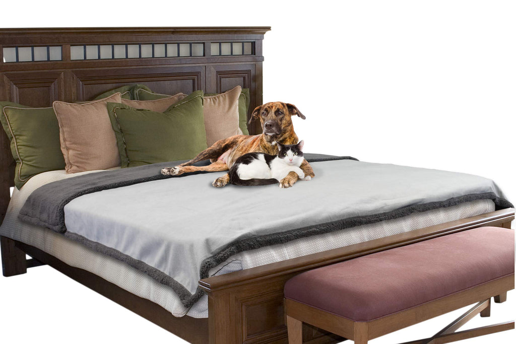 Urine proof deals dog bed