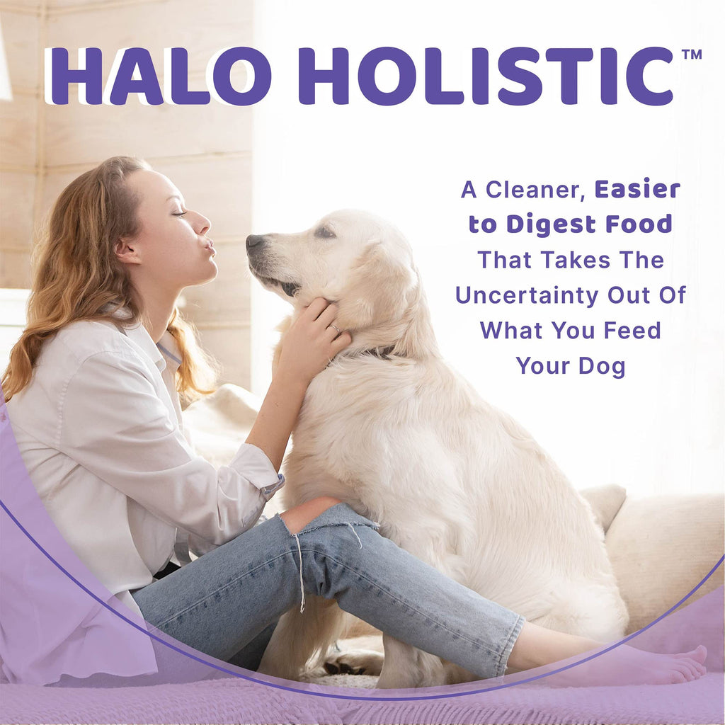 Halo Spot's Stew for Dogs Wholesome Beef 5-1/2-Ounce 12-Can